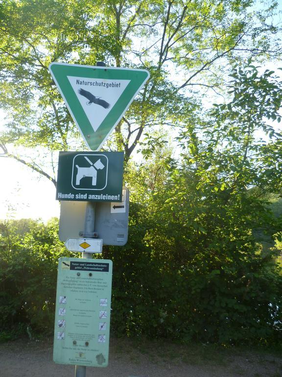 Storchennest Leilighet Bad Säckingen Eksteriør bilde