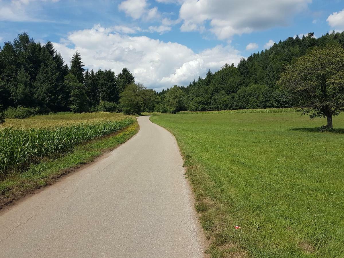 Storchennest Leilighet Bad Säckingen Eksteriør bilde