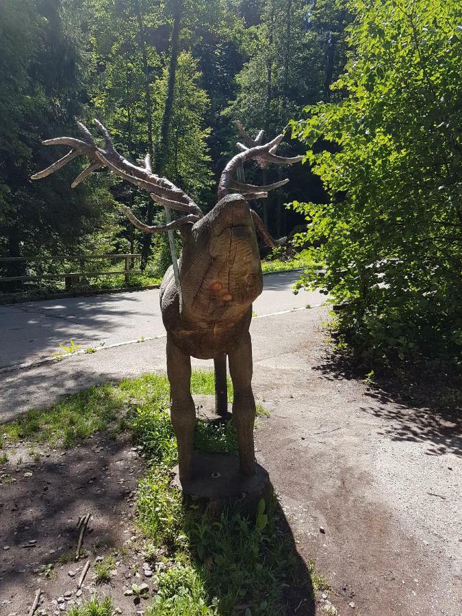 Storchennest Leilighet Bad Säckingen Eksteriør bilde